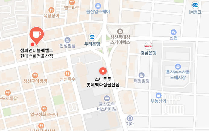 챔피언더블랙벨트 현대백화점 울산점 사진