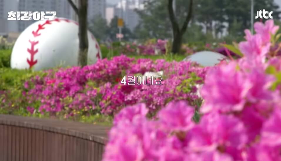 최강야구 시즌3 일정 직관 알아보기