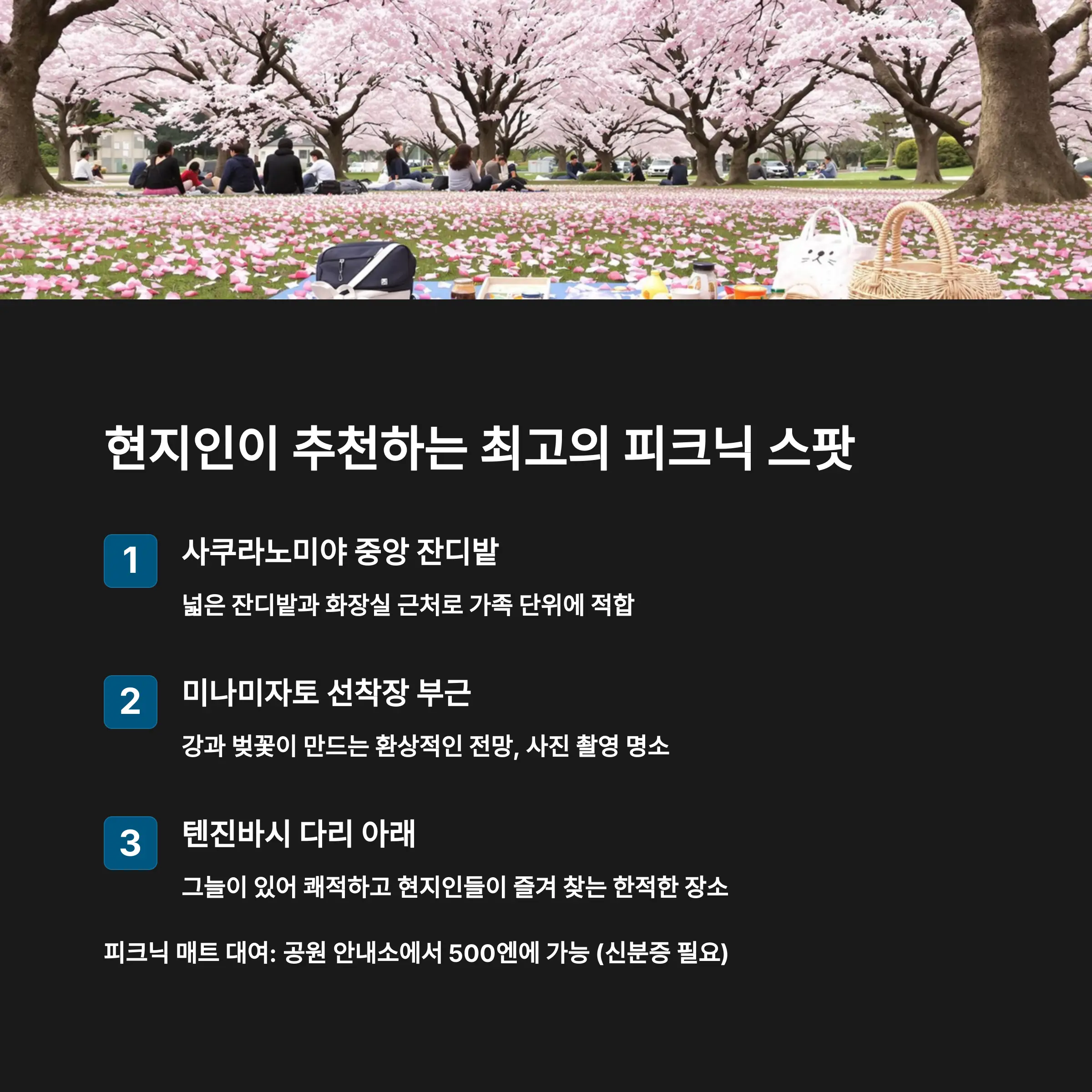 현지인이 즐겨찾는 벚꽃 피크닉 베스트 스팟