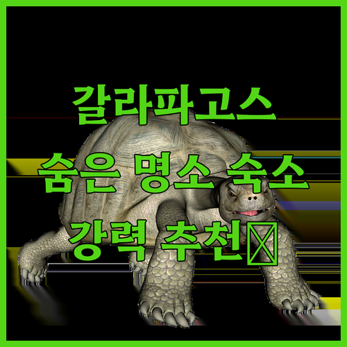 갈라파고스 숨은 명소 숙소 추천 친절