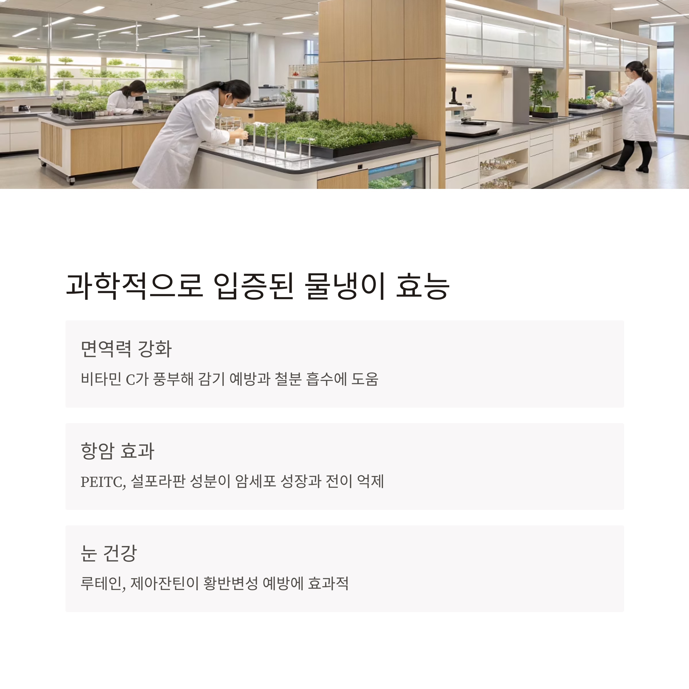 물냉이 효능