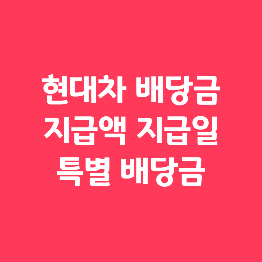 현대차 배당금 얼마 지급일 기준일 특별 배당금