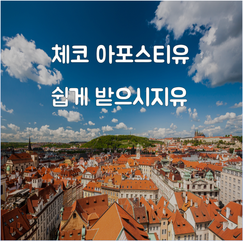  체코 아포스티유 쉽게 받으시지유! 서류준비 집에서 하는법