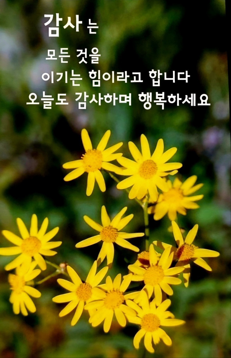 모임커피 이미지
