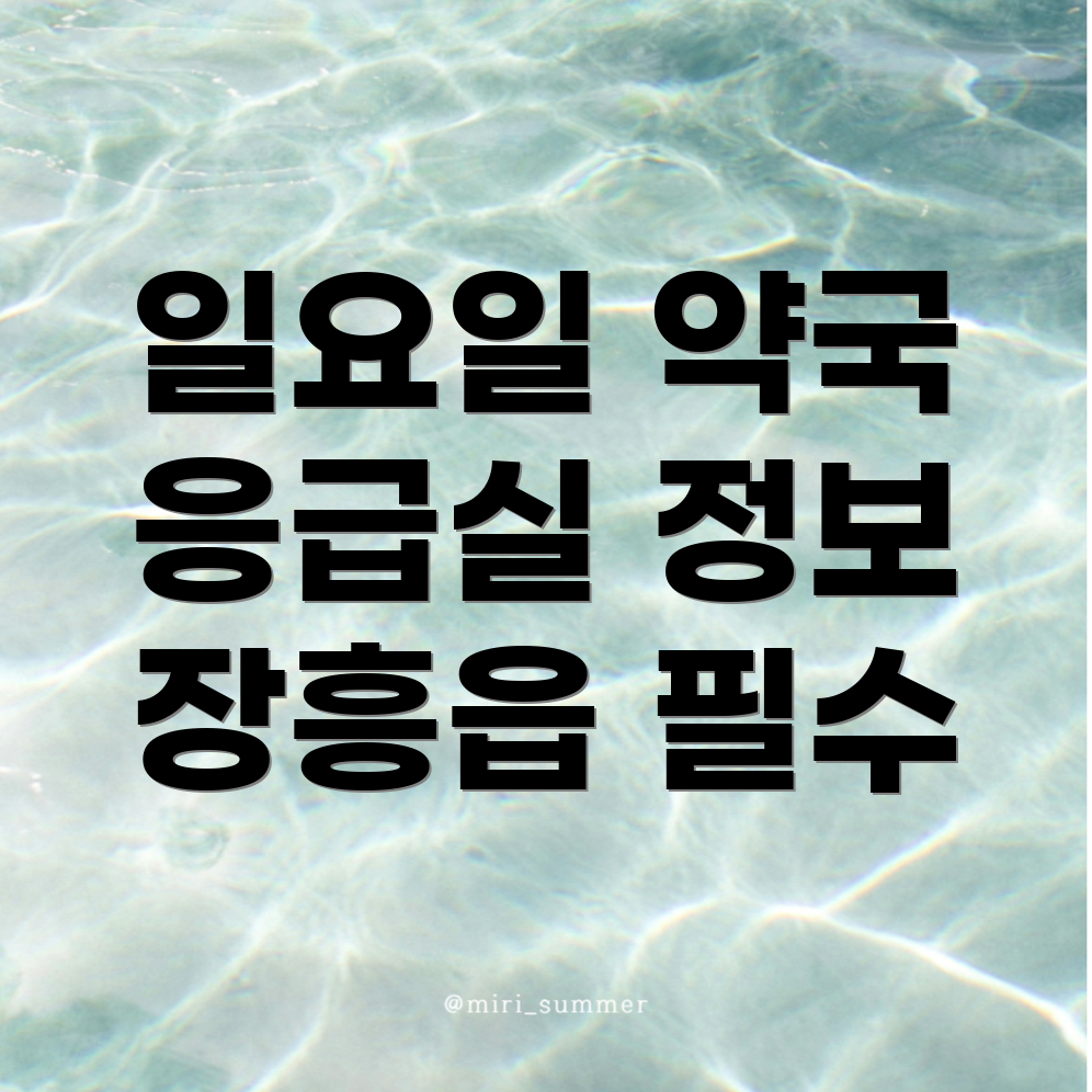 장흥읍 일요일 약국