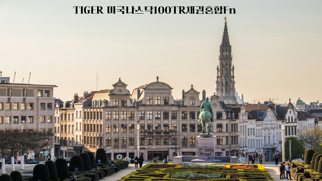  TIGER 미국나스닥100TR채권혼합Fn/435420