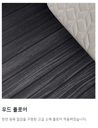 카니발 하이리무진