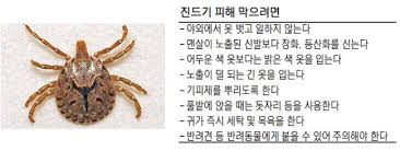 진드기피해를 막으려면!-철저한예방