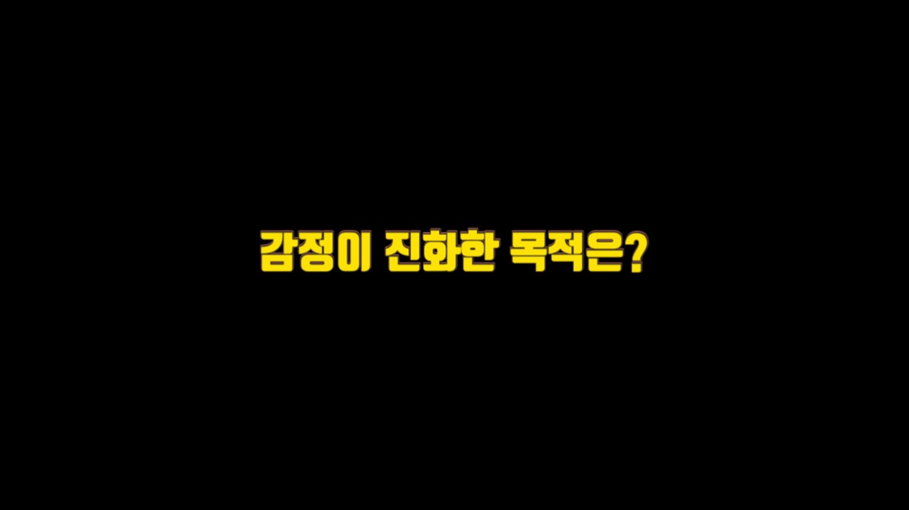  감정이 진화한 목적은?