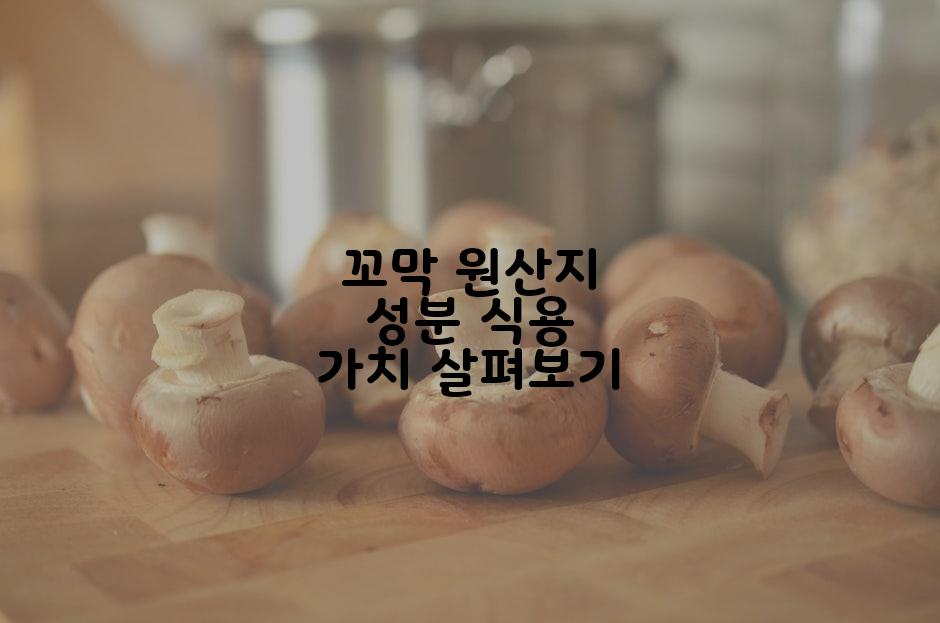 꼬막 원산지 성분 식용 가치 살펴보기