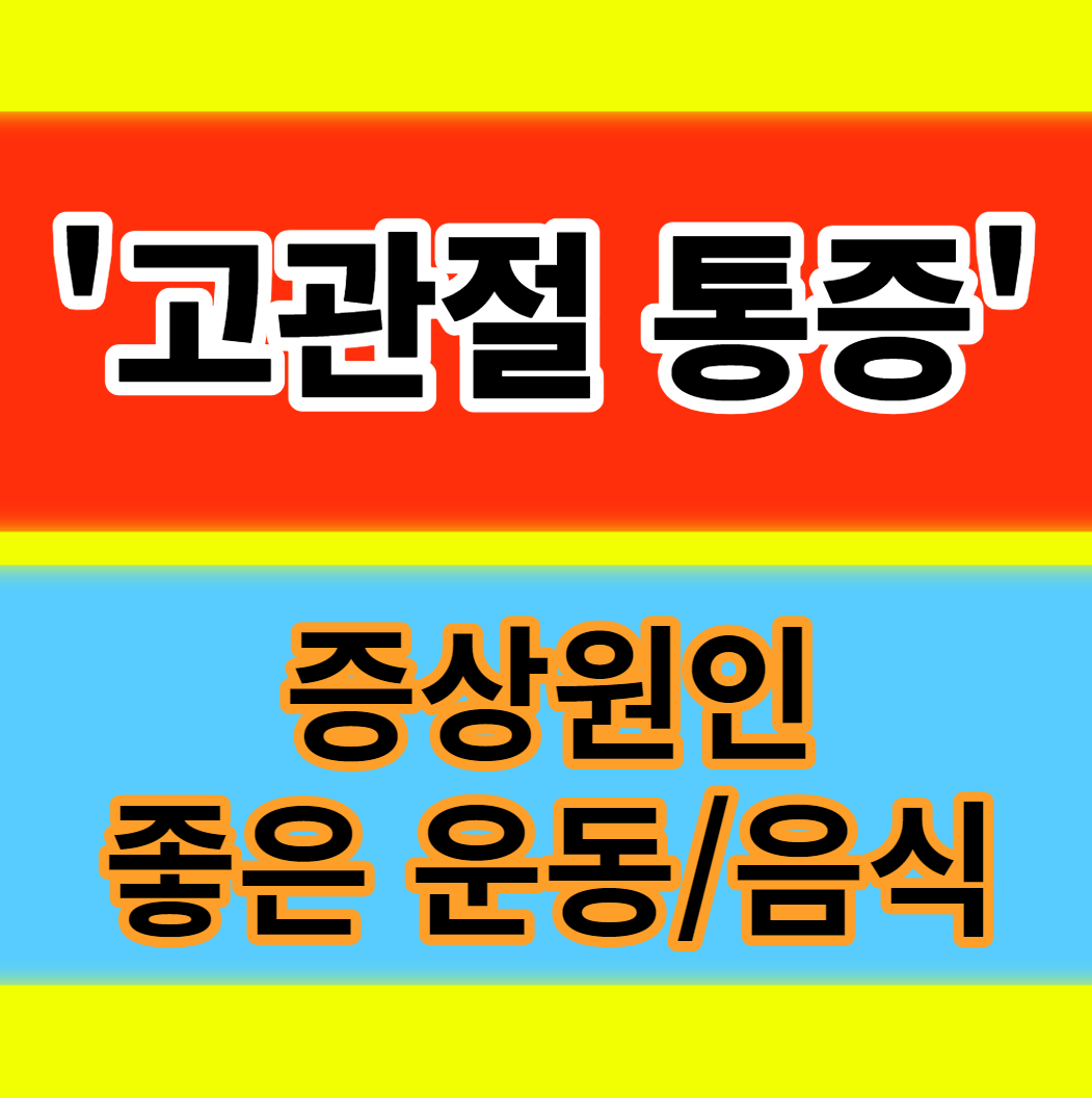 고관절 통증 증상 원인 기능 위치 좋은 운동과 음식