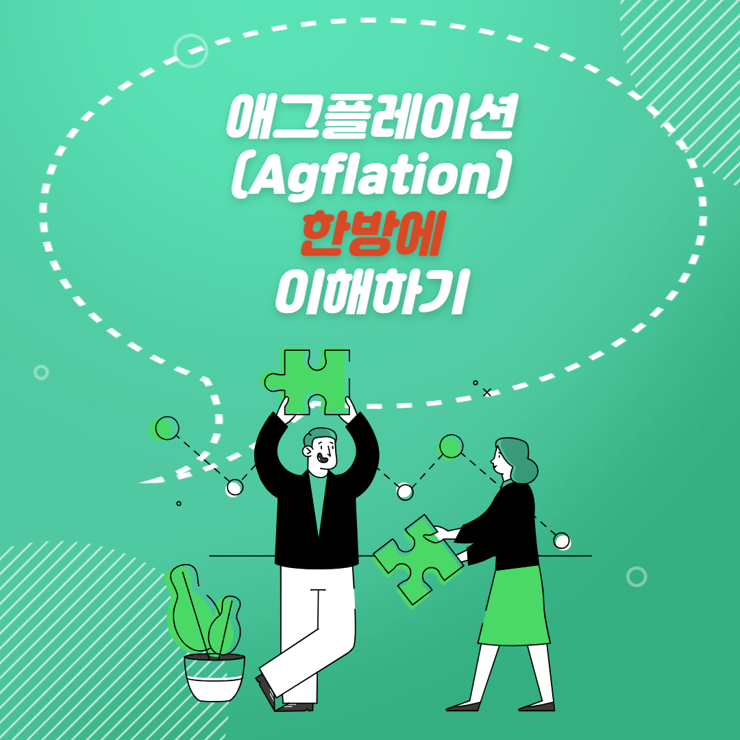  애그플레이션 이유와 원인