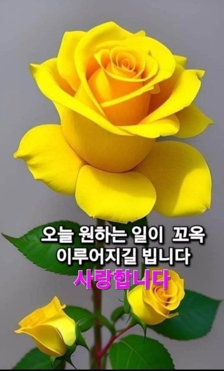 깔끔이환경 이미지