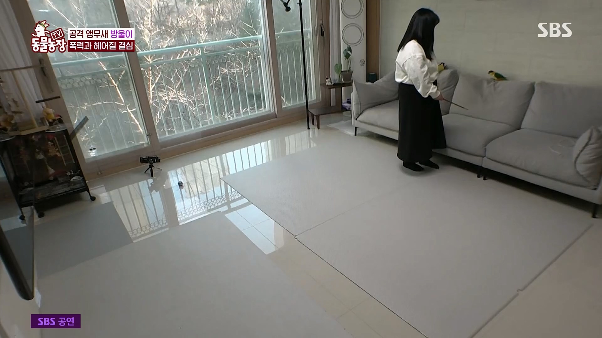 TV 동물농장.E1110.230305p.H264-F1RST.mp4_20230305_183148.715.jpg