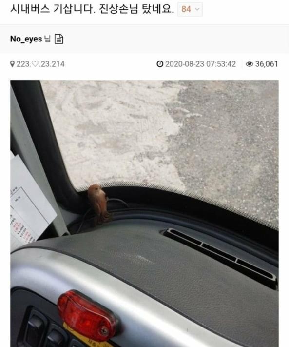  버스 무임승차하고 소리지르는 손님탐