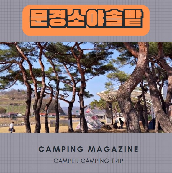  경북 문경 노지 캠핑 소야솔밭 야영장 차박지