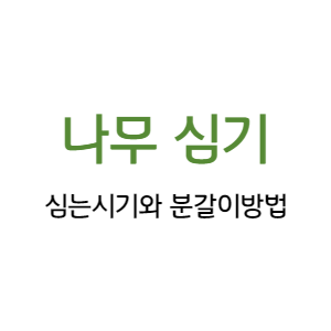  수목 식재 방법, 분갈이 방법