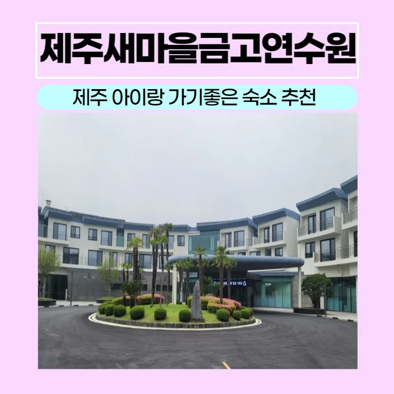 제주 금고리조트 사우나 체크인 리뷰 가격 아쿠아나 바베큐 완벽 정보_4