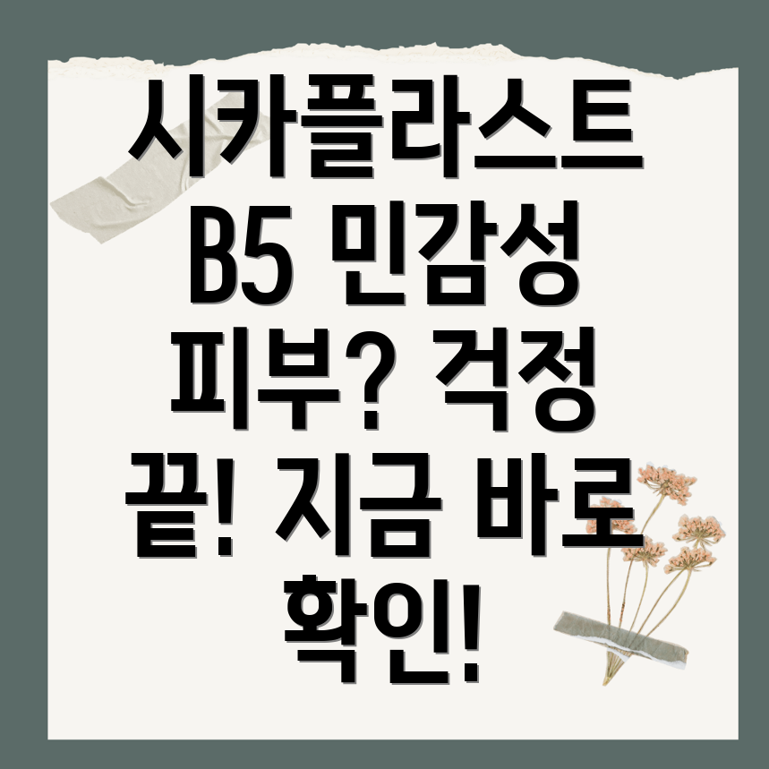 시카플라스트 B5