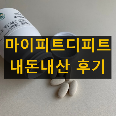 마이피트디피트