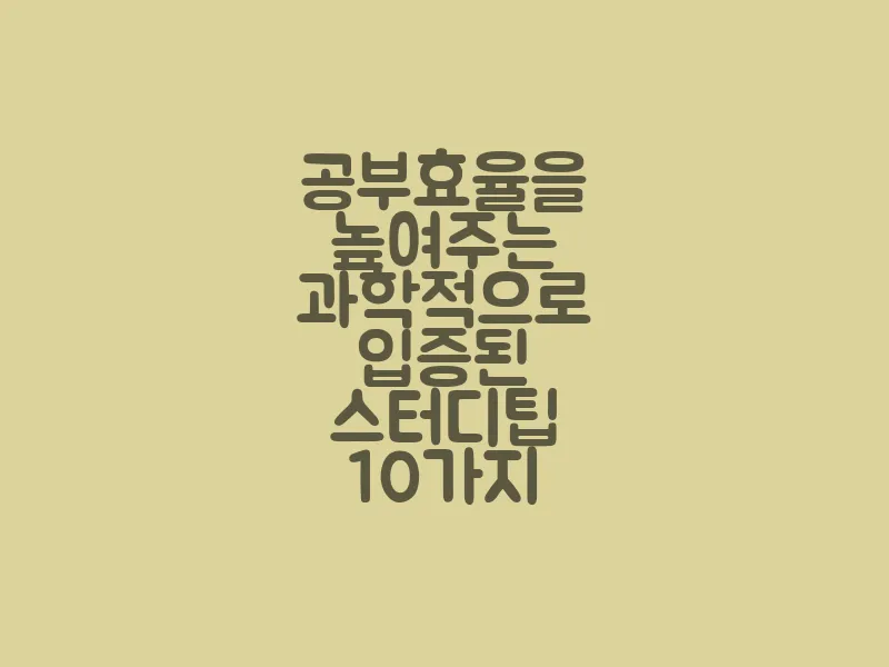공부효율을 높여주는 과학적으로 입증된 스터디 팁 10가지