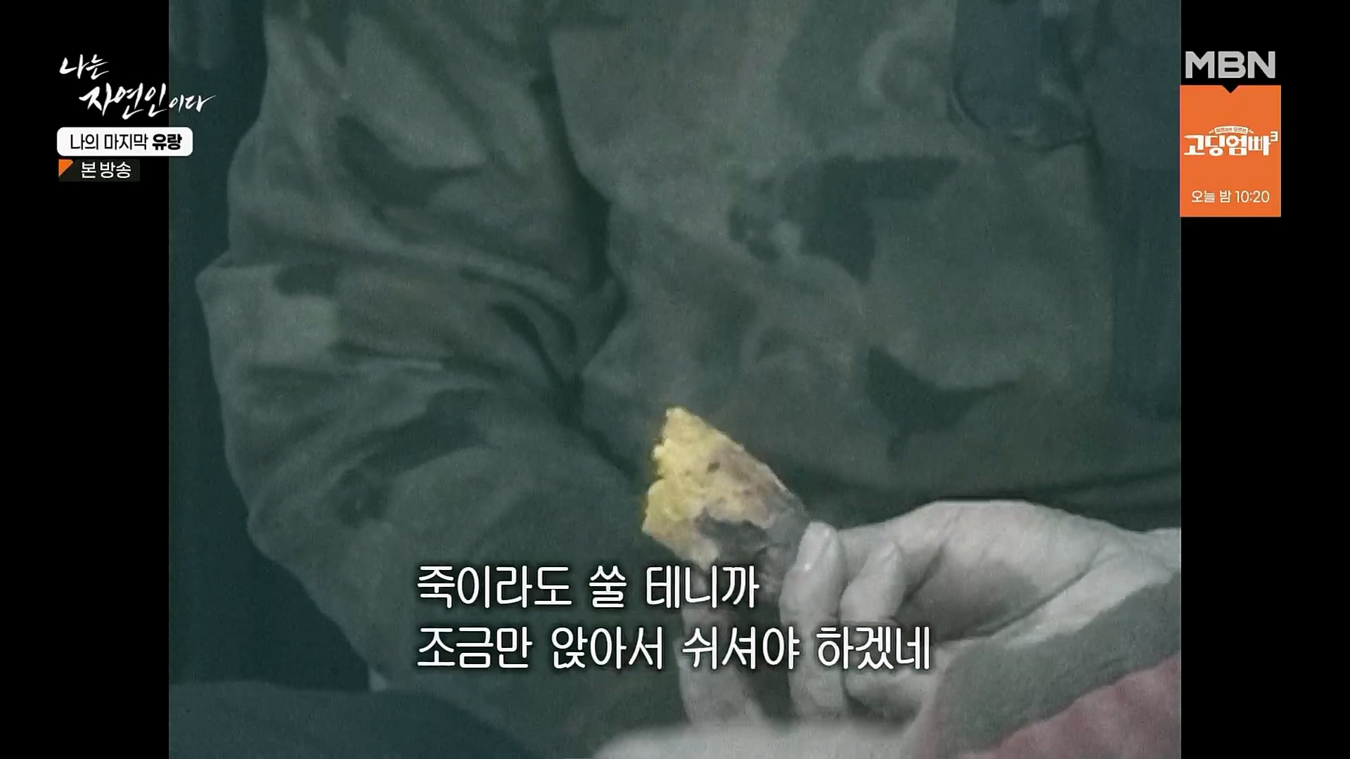 나는 자연인이다.E541.230215p.H264-F1RST.mp4_20230216_192706.309.jpg