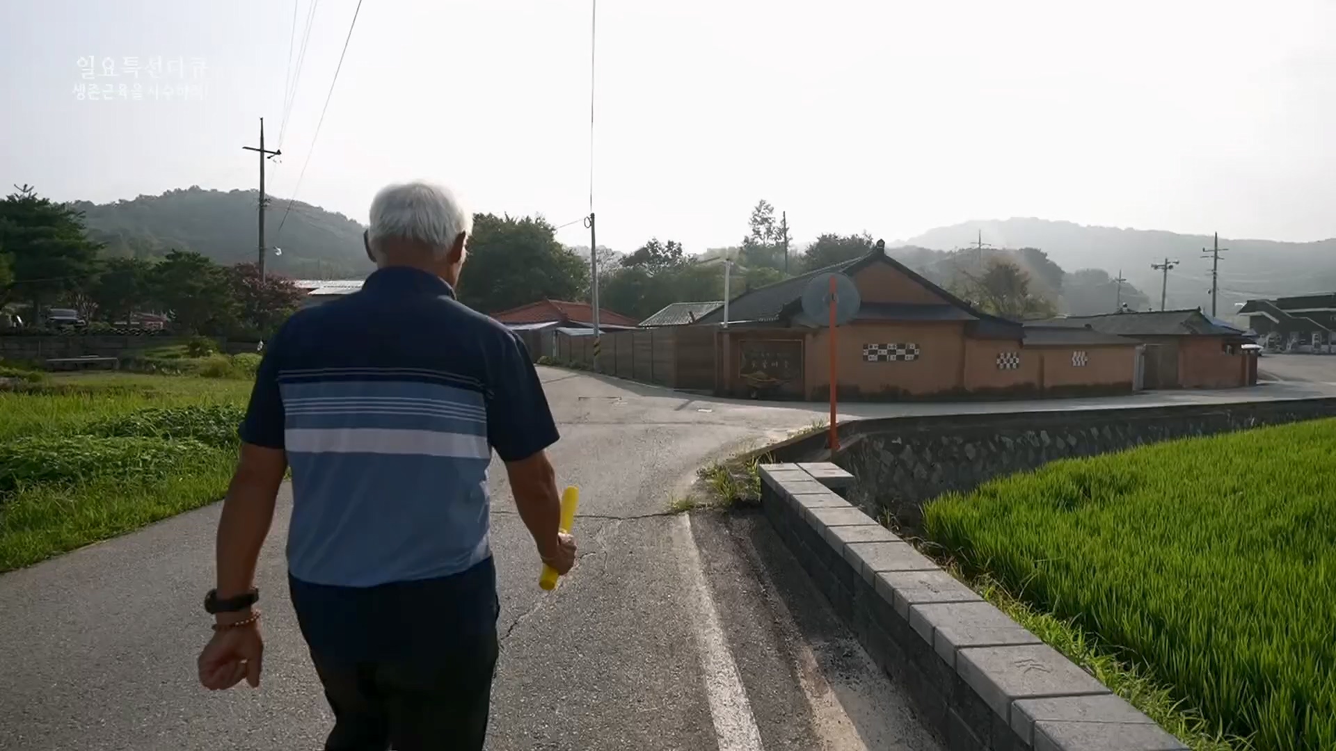 일요 특선 다큐멘터리.E319.230910p.H264-F1RST.mp4_20230918_202636.282.jpg