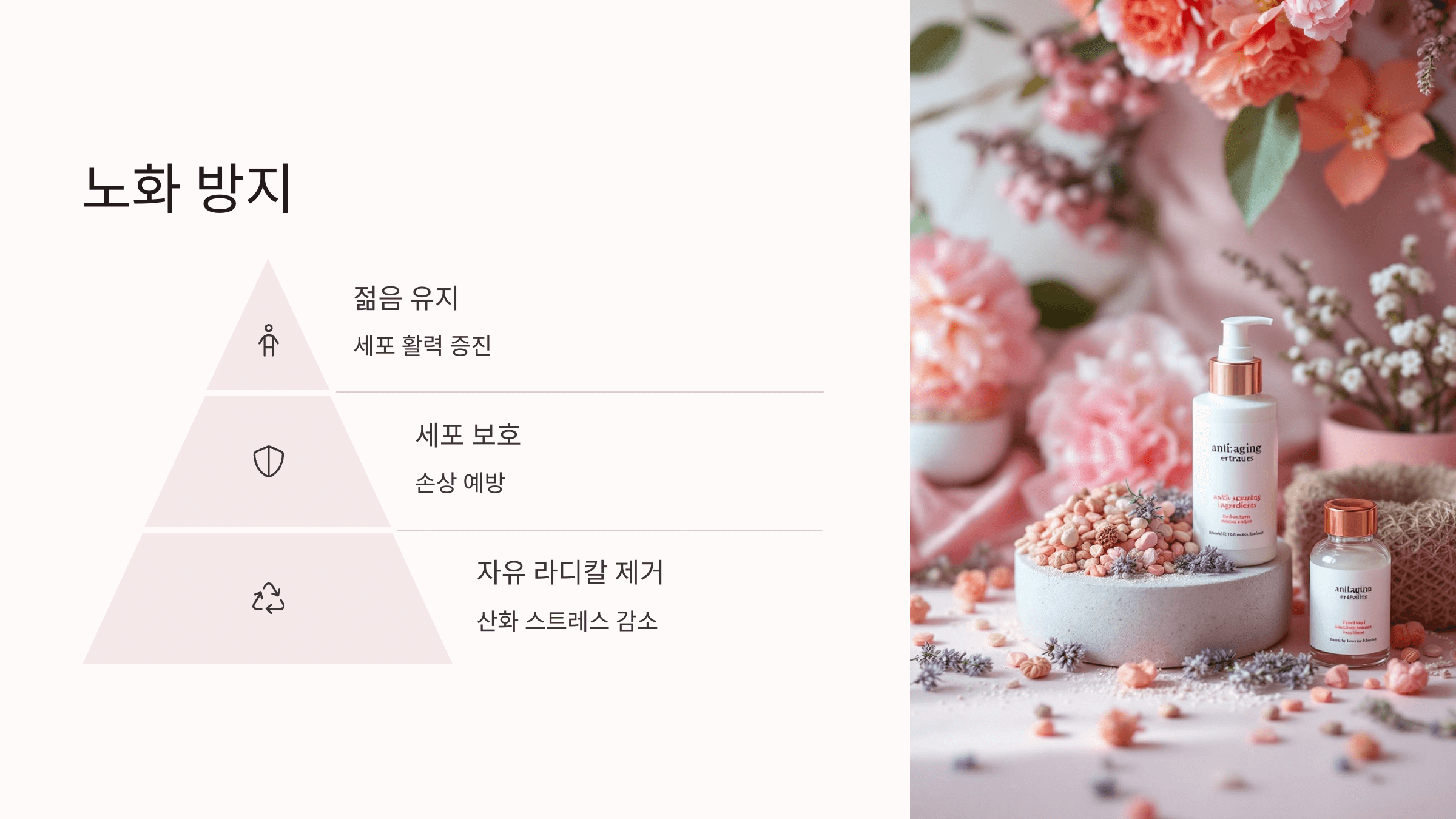 식물성 멜라토닌과 관련된 사진입니다.