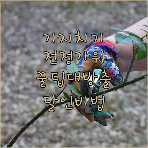 가지치기 달인 되는 비법 전정 가위 