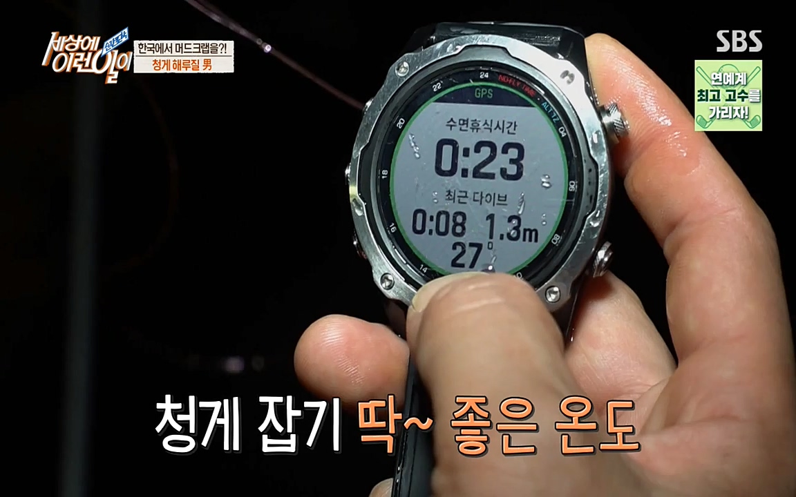 순간포착 세상에 이런일이.E1195.220831p-NEXT.mp4_20220831_201233.896.jpg