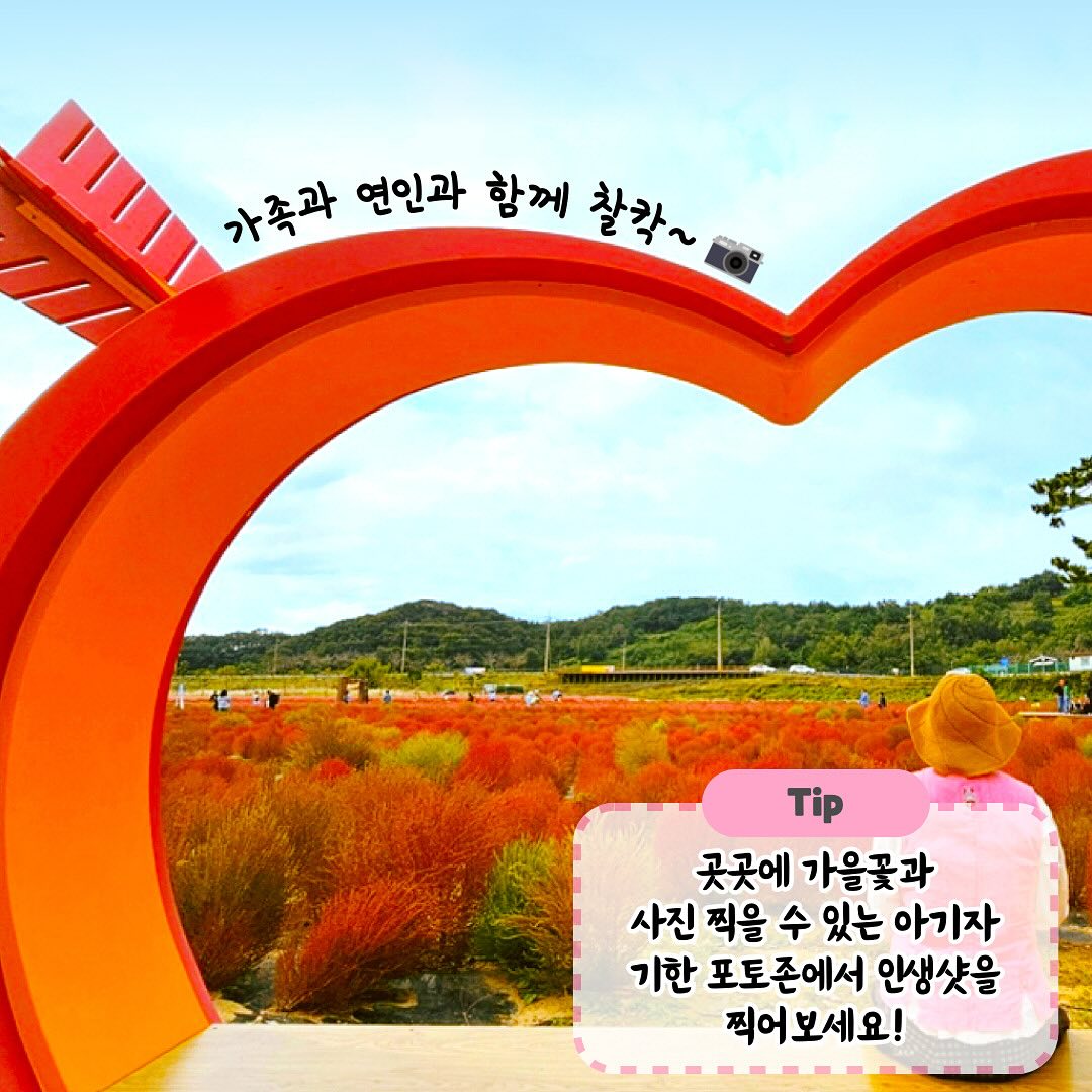 의령 댑싸리 축제