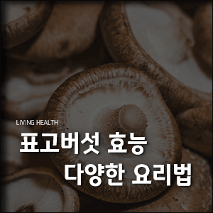  표고버섯 효능과 요리법