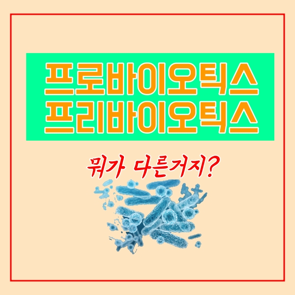  프로바이오틱스와 프리바이오틱스 차이점, 효능