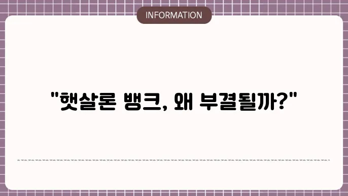 햇살론 뱅크 부쫀점 새튼 느스