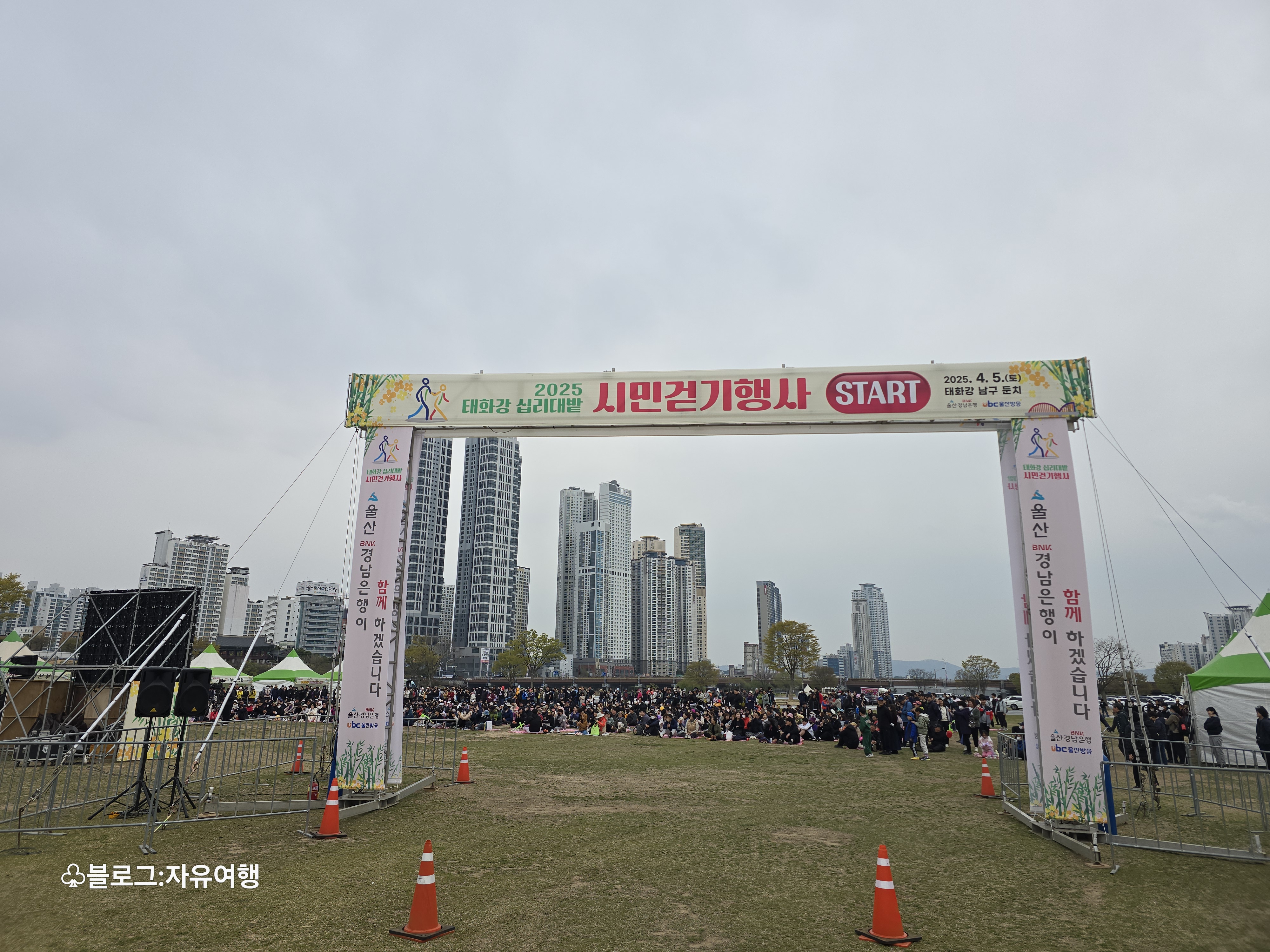 대밭 이미지
