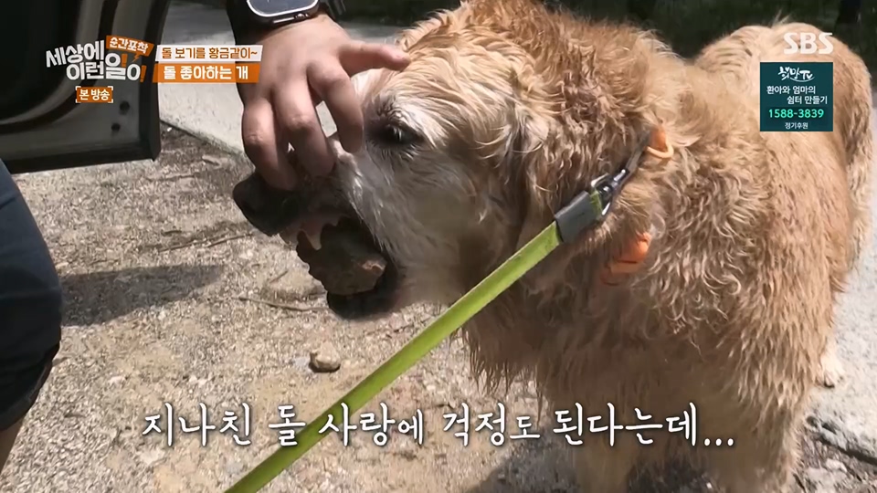 순간포착 세상에 이런일이.E1234.230624p.H264-F1RST.mp4_20230626_211154.218.jpg