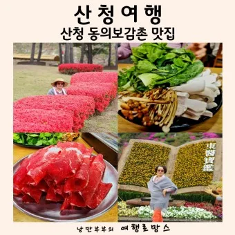 산청 맛집 베스트10 현지인 숨겨진 맛집_6