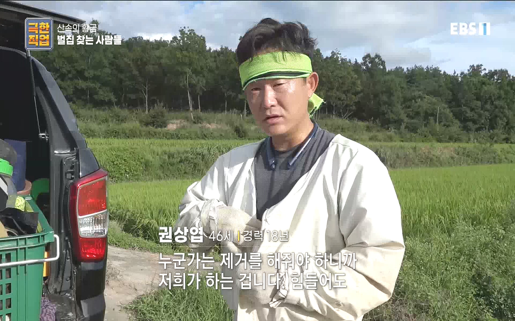 벌집 찾는 사람들.mp4_20221006_212403.035.jpg