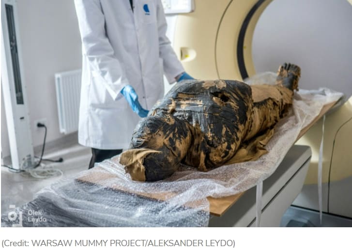  세계 최초 임신 미이라 공개 VIDEO: A Closer Look at the World's First Pregnant Egyptian Mummy