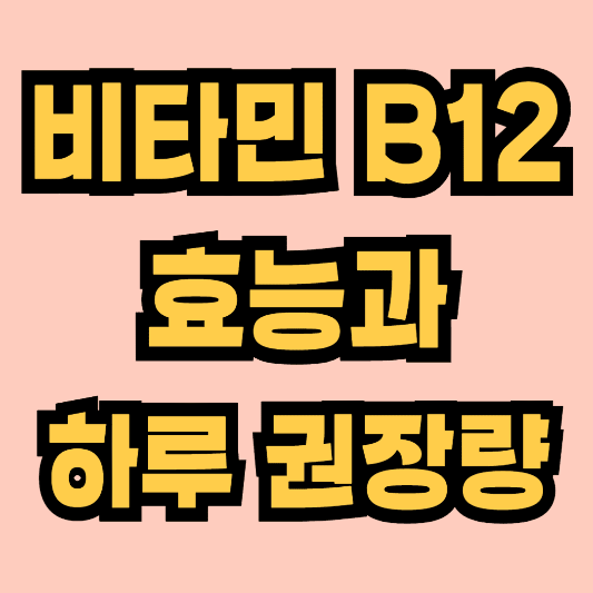 비타민 b12의 효능