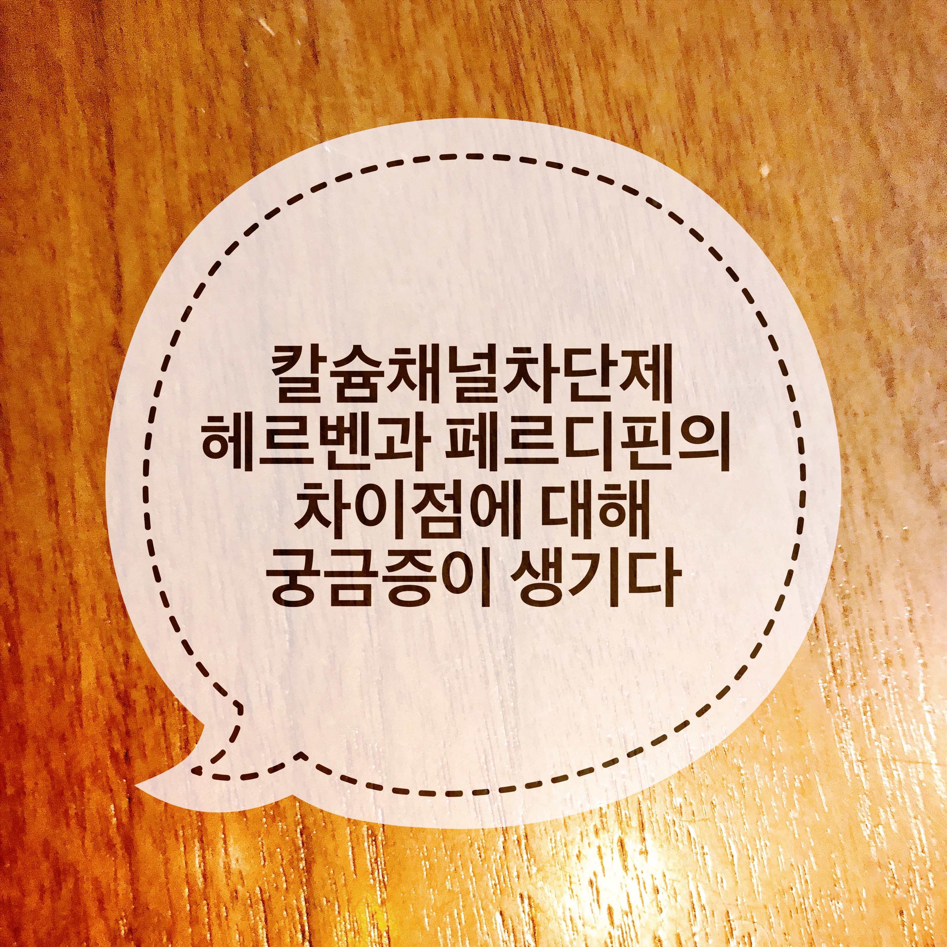  칼슘채널차단제 헤르벤과 페르디핀의 차이점에 대해 궁금증이 생기다.