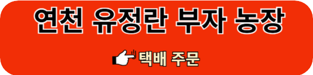 동네한바퀴-연천-유정란