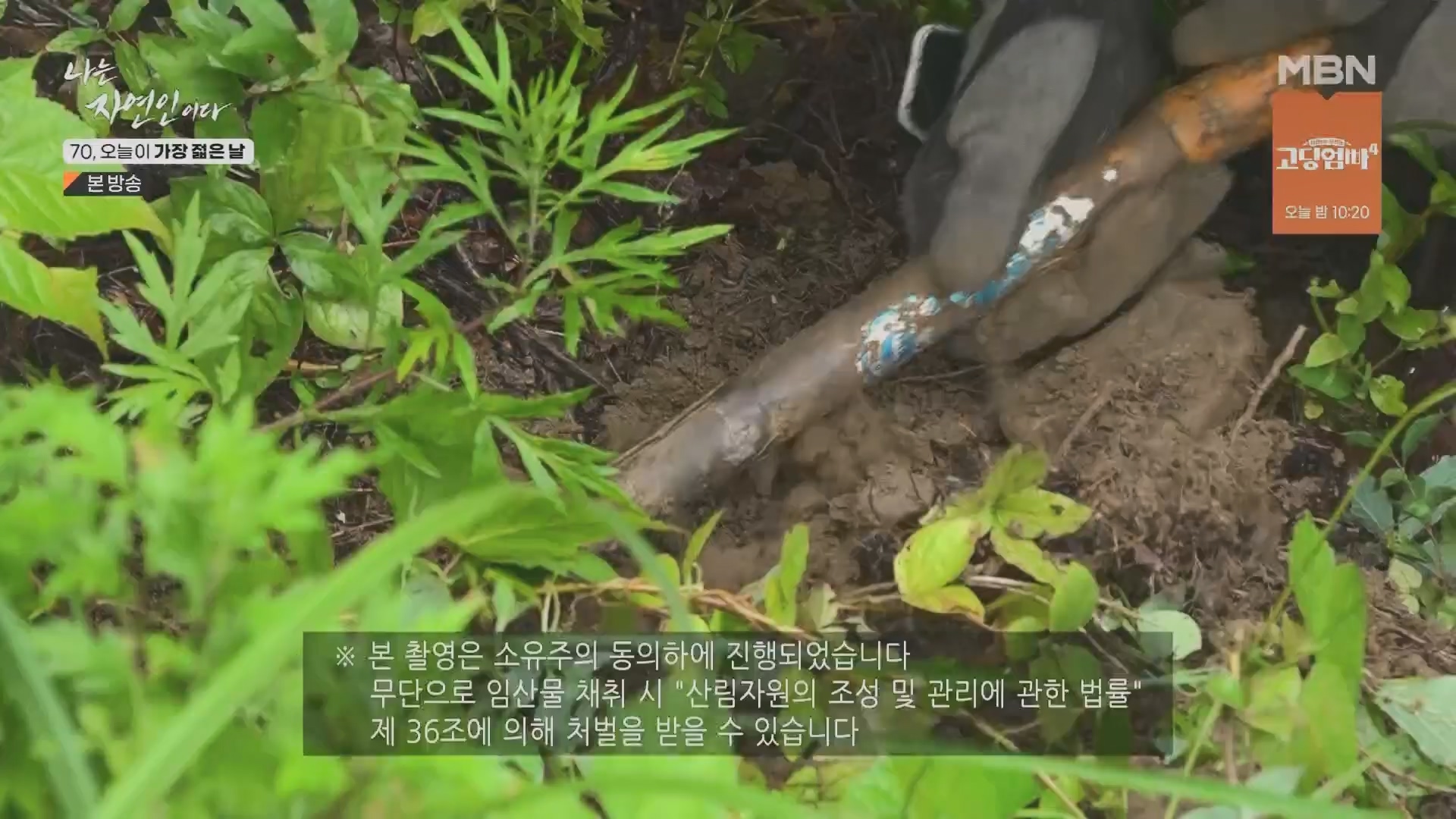 나는 자연인이다.E565.230802p.H264-F1RST.mp4_20230803_203403.951.jpg