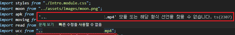  [리액트 타입스크립트] React Typescript error: Cannot find module  '*.mp4'. TS2307