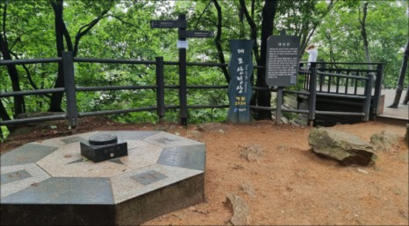  장마철에 걷는 강남구 산 I 대모산 구룡산 우중산책