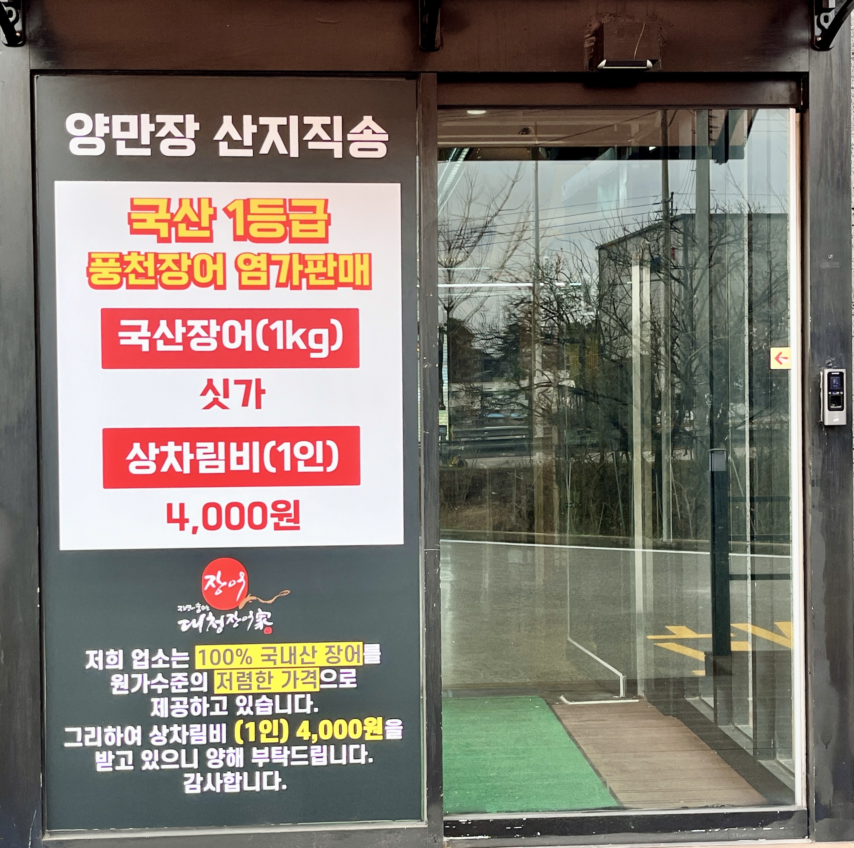 대청장어가