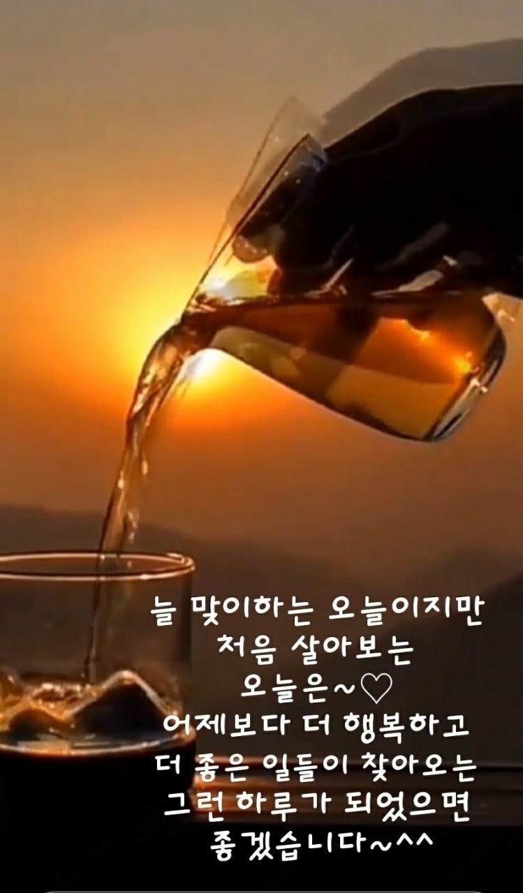  오늘의 좋은글 224번째 어떤 일을 하면서 완벽한 타이밍만 찾다가 정작 제대로 해내지 못 하겠습니다