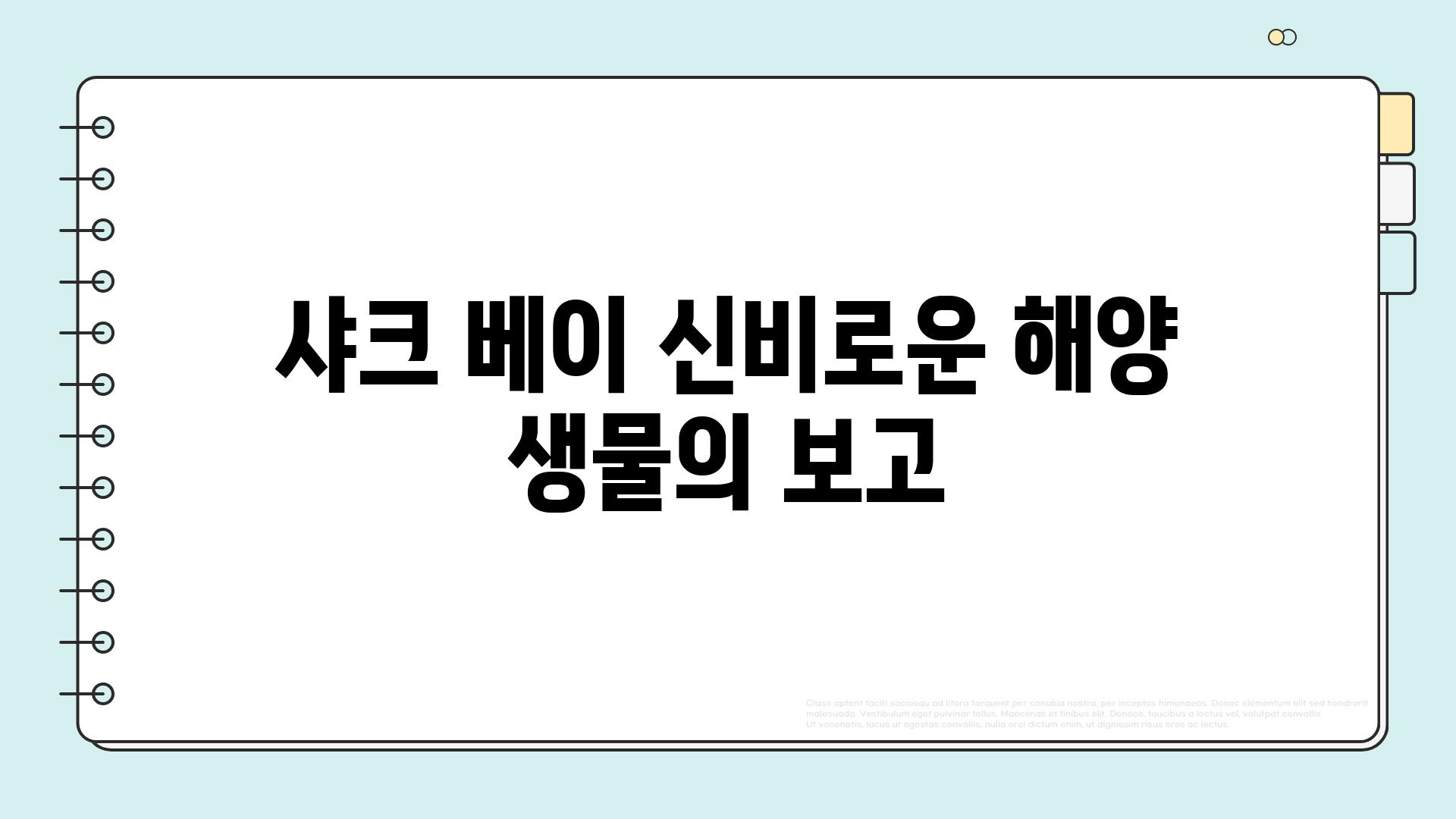 샤크 베이 신비로운 해양 생물의 보고