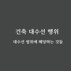 대수선 범위