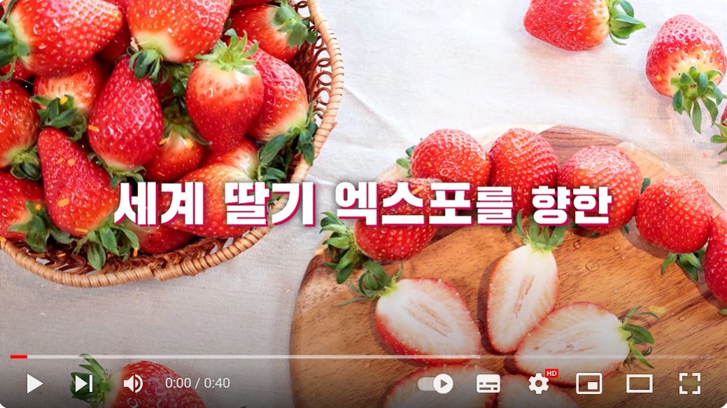 논산딸기축제 기본정보, 행사내용